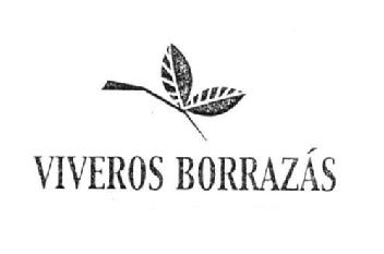 Imagen de VIVEROS BORRAZAS