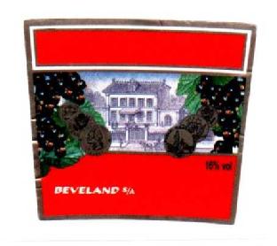 Imagen de BEVELAND S/A