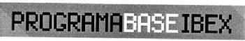 Imagen de PROGRAMABASEIBEX