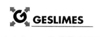 Imagen de G GESLIMES