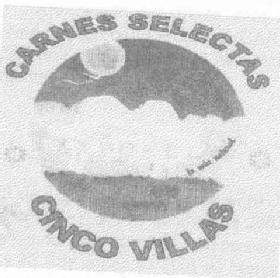 Imagen de CARNES SELECTAS CINCO VILLAS