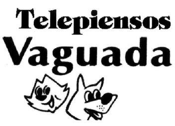 Imagen de TELEPIENSOS VAGUADA