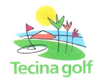 Imagen de TECINA GOLF