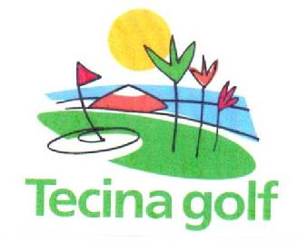 Imagen de TECINA GOLF