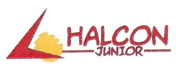 Imagen de HALCON JUNIOR