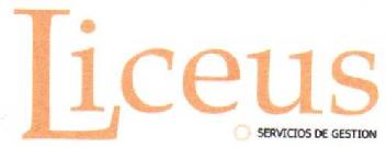 Imagen de LICEUS SERVICIOS DE GESTION