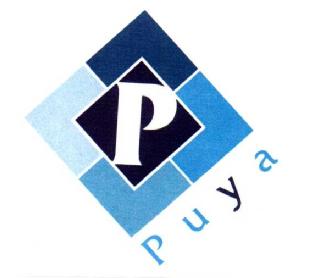 Imagen de P PUYA