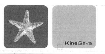 Imagen de KINE GAVA