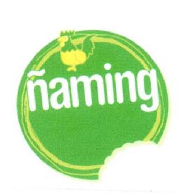 Imagen de ÑAMING