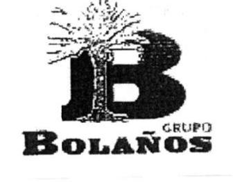 Imagen de B GRUPO BOLAÑOS