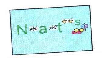 Imagen de NATSAIA