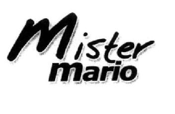 Imagen de MISTER MARIO