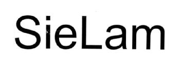 Imagen de SIELAM