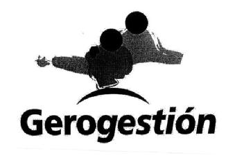 Imagen de GEROGESTION