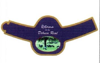 Imagen de RETAMA DE LA DEHESA REAL