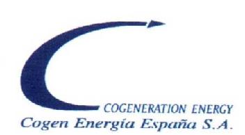 Imagen de C COGEN ENERGIA ESPAÑA S.A