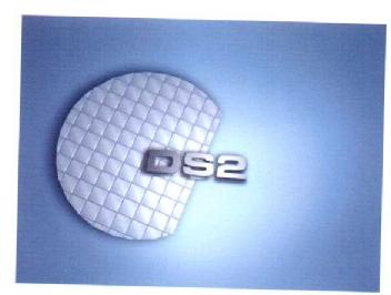 Imagen de DS2