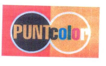 Imagen de PUNTCOLOR