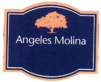 Imagen de ANGELES MOLINA
