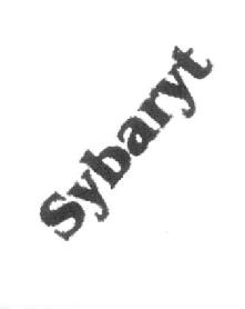 Imagen de SYBARYT