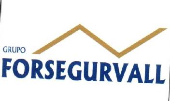 Imagen de GRUPO FORSEGURVALL