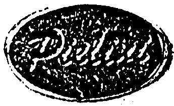 Imagen de PIELINI