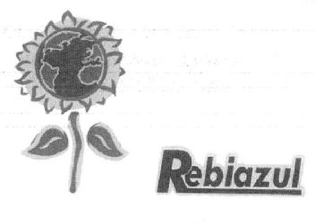 Imagen de REBIAZUL