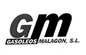 Imagen de GM GASOLEOS MALAGON, S.L