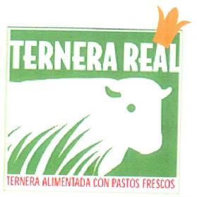 Imagen de TERNERA REAL TERNERA ALIMENTADA CON PASTOS FRESCOS