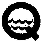 Imagen de Q