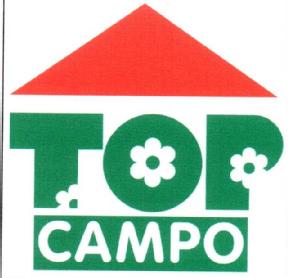Imagen de TOP CAMPO