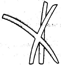 Imagen de M1691757(X)
