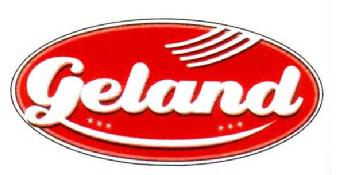 Imagen de GELAND