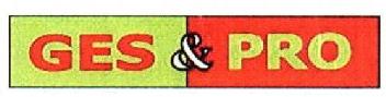 Imagen de GES & PRO