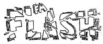 Imagen de FM FLASH