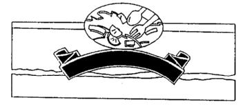 Imagen de M1662979