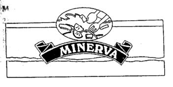Imagen de MINERVA
