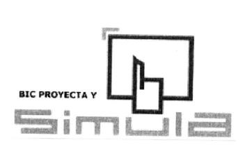 Imagen de BIC PROYECTA Y SIMULA