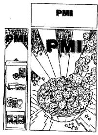 Imagen de PMI