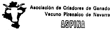 Imagen de ASOCIACION DE CRIADORES DE GANADO VACUNO PIRENAICO DE NAVARRA ASPINA