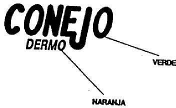 Imagen de CONEJO DERMO