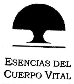 Imagen de ESENCIAS DEL CUERPO VITAL