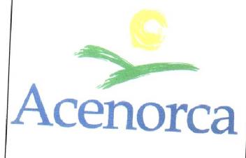 Imagen de ACENORCA