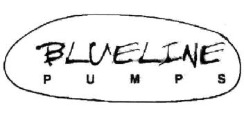 Imagen de BLUELINE PUMPS