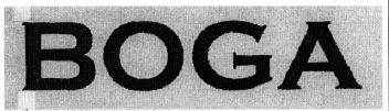 Imagen de BOGA