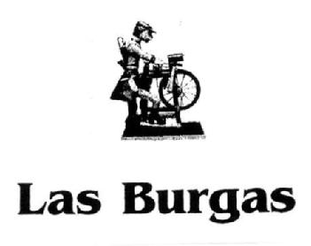 Imagen de LAS BURGAS
