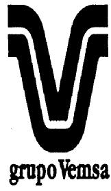 Imagen de V GRUPO VEMSA