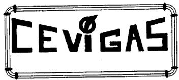 Imagen de CEVIGAS