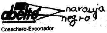 Imagen de ABELTE COSECHERO-EXPORTADOR