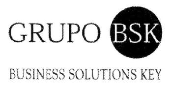 Imagen de GRUPO BSK BUSINESS SOLUTIONS KEY